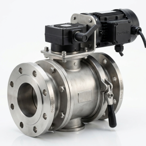 Doebritz Stainless Steel Feeding Screw: Quick-Release Rotary Valve for Hygienic & ATEX Zones